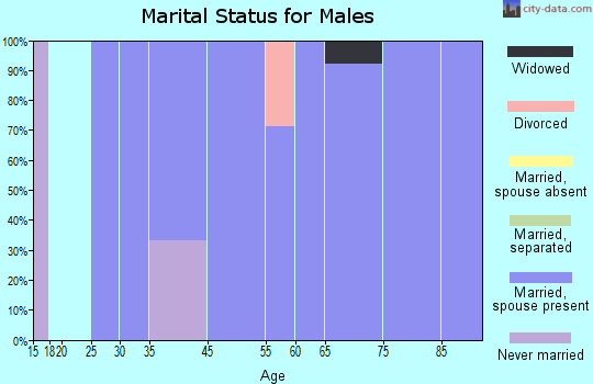 Copper City marital status for males