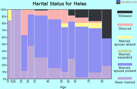 Crystal Falls marital status for males