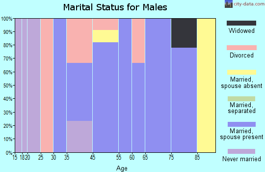Custer marital status for males