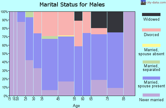 Decatur marital status for males