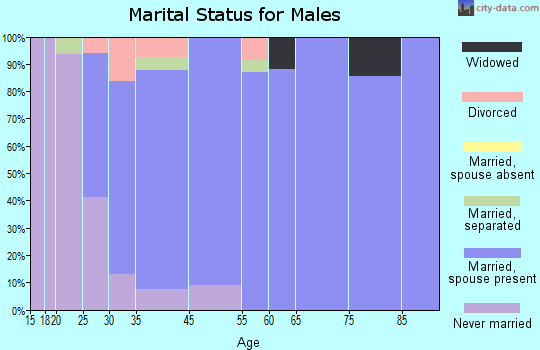 Deerfield marital status for males