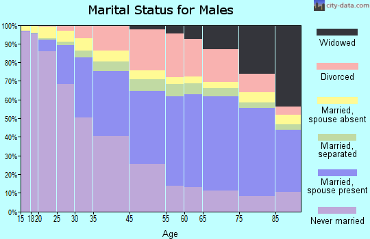 Detroit marital status for males