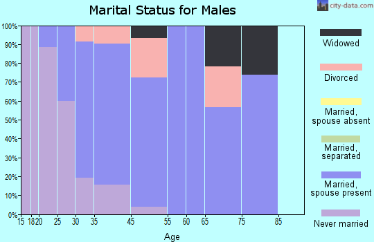Detroit Beach marital status for males