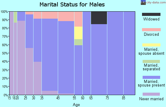 Dimondale marital status for males