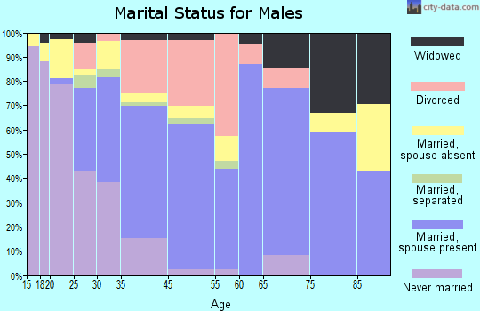 Dowagiac marital status for males