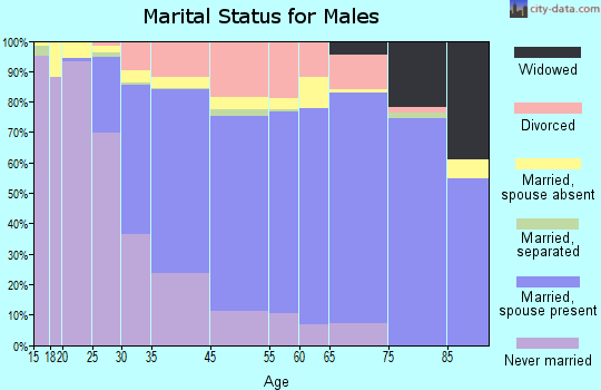 East Lansing marital status for males