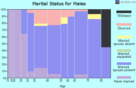 East Tawas marital status for males