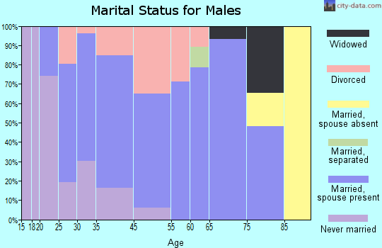 Eaton Rapids marital status for males