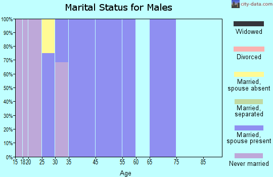 Shonto marital status for males