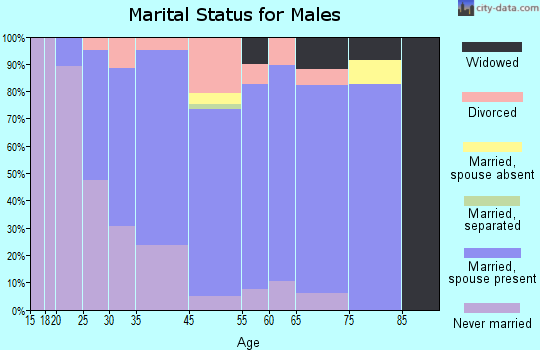 Elk Rapids marital status for males
