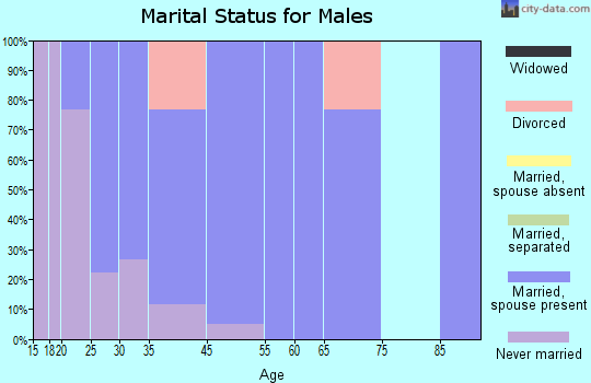 Ellsworth marital status for males
