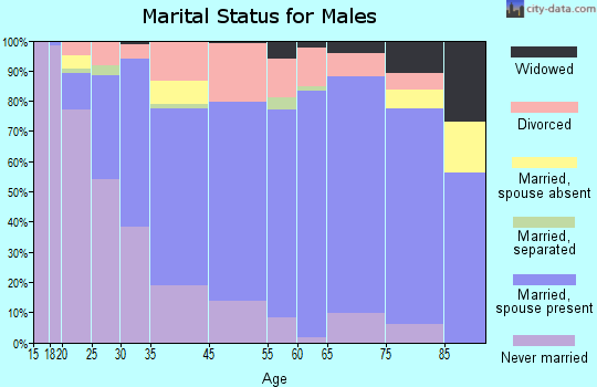 Escanaba marital status for males