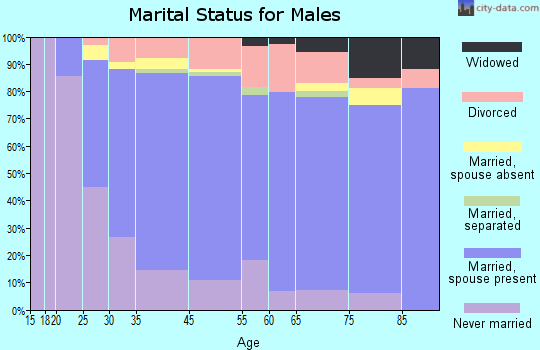Farmington marital status for males