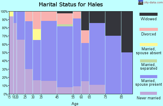 Fennville marital status for males