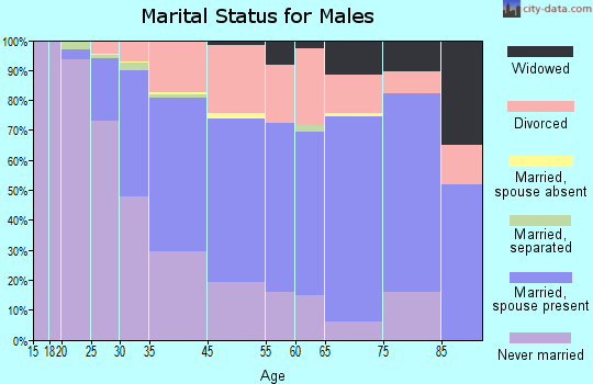 Ferndale marital status for males