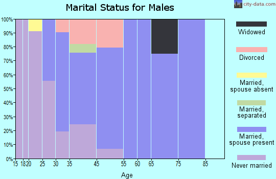 Fife Lake marital status for males
