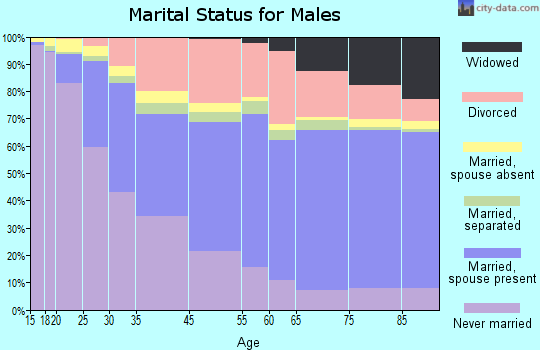 Flint marital status for males