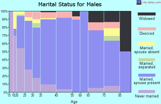 Snowflake marital status for males