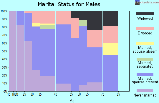 Galesburg marital status for males