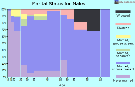 Somerton marital status for males