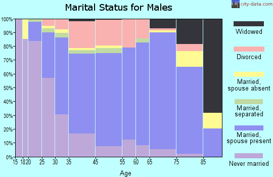 Grand Haven marital status for males
