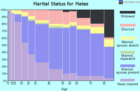 Grand Rapids marital status for males