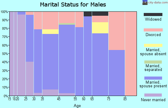 Greater Galesburg marital status for males