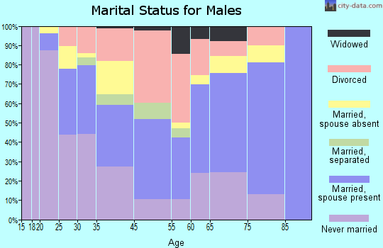 South Tucson marital status for males
