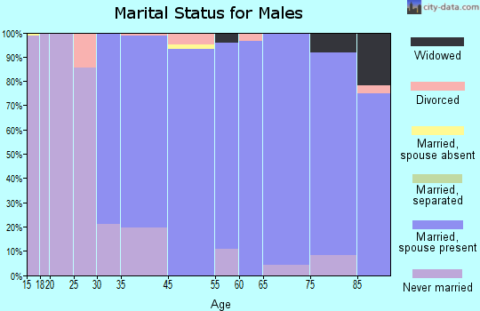 Grosse Pointe Shores marital status for males