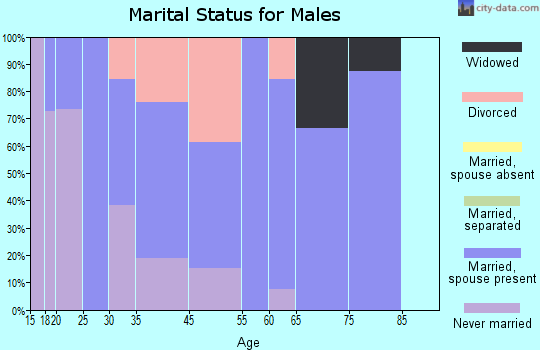 Hanover marital status for males
