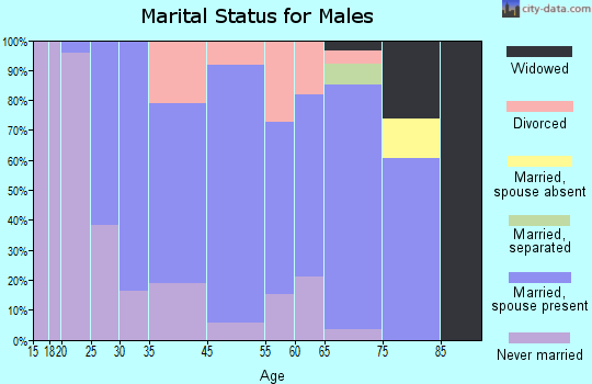 Harbor Beach marital status for males