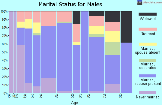 Springerville marital status for males