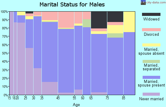 Haslett marital status for males