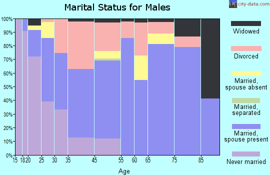 Houghton Lake marital status for males