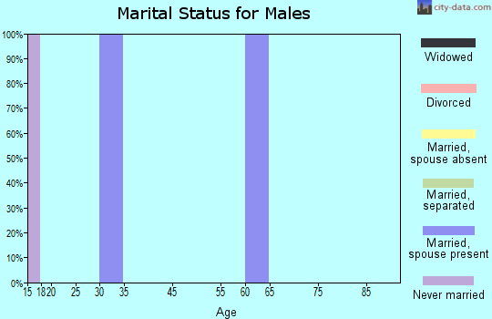 Steamboat marital status for males