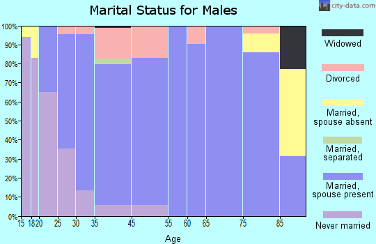 Hudsonville marital status for males