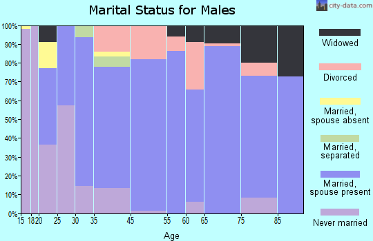 Indian River marital status for males
