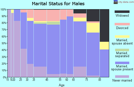 Iron Mountain marital status for males
