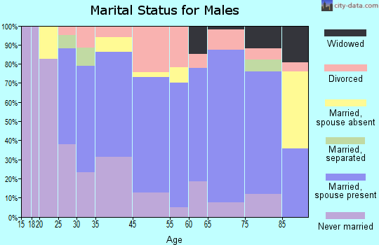 Iron River marital status for males