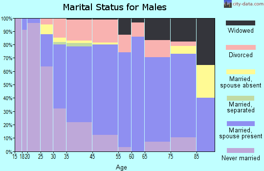 Ironwood marital status for males