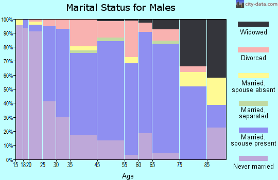 Ishpeming marital status for males