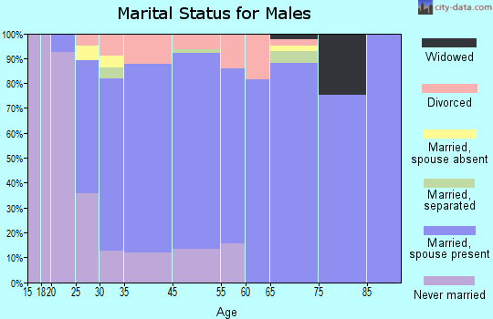 Ithaca marital status for males
