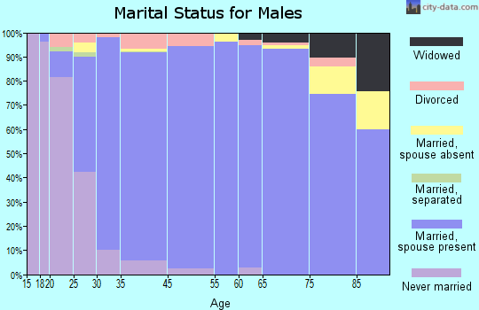 Jenison marital status for males