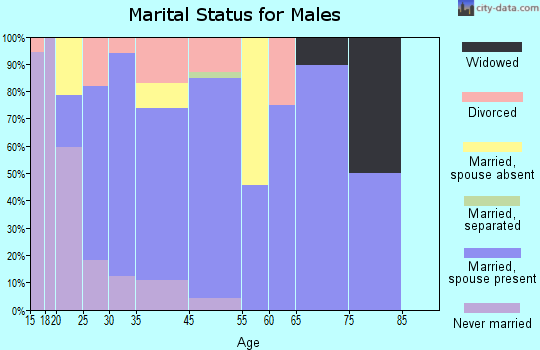 Kent City marital status for males