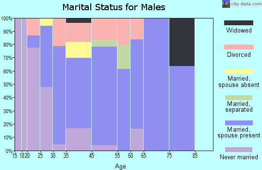 Summit marital status for males