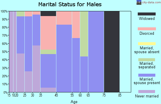K. I. Sawyer AFB marital status for males
