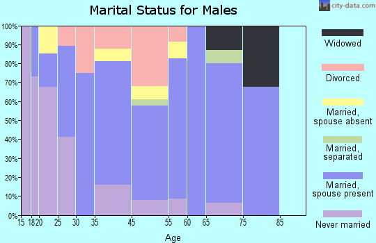 Lake Michigan Beach marital status for males