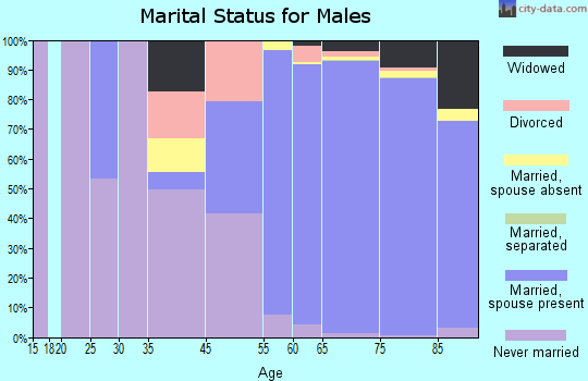 Sun City West marital status for males