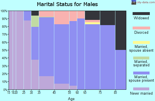 Lathrup Village marital status for males