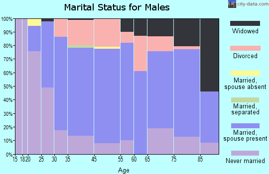 Laurium marital status for males